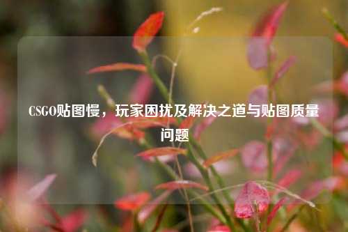 CSGO贴图慢，玩家困扰及解决之道与贴图质量问题