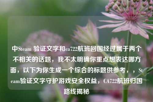 中Steam 验证文字和ca722航班回国经过属于两个不相关的话题，我不太明确你重点想表达哪方面，以下为你生成一个综合的标题供参考，，Steam验证文字守护游戏安全权益，CA722航班归国路线揭秘