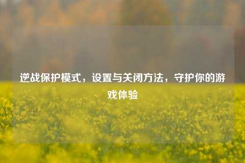 逆战保护模式,设置与关闭方法,守护你的游戏体验