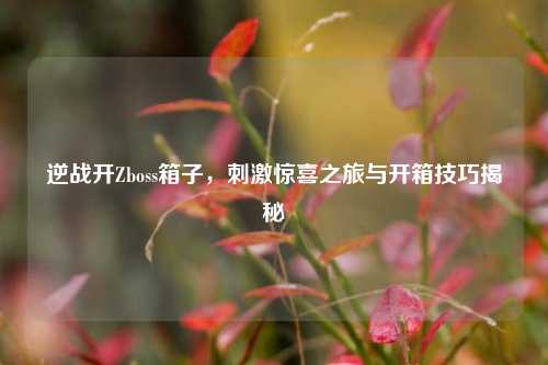 逆战开Zboss箱子,刺激惊喜之旅与开箱技巧揭秘