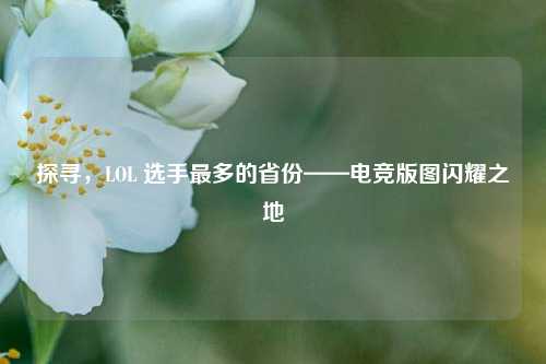 探寻,LOL 选手最多的省份——电竞版图闪耀之地