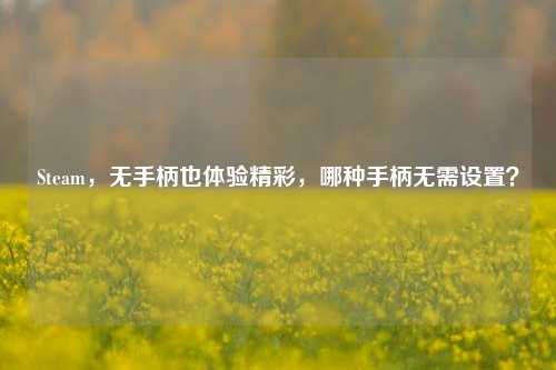 Steam,无手柄也体验精彩,哪种手柄无需设置?