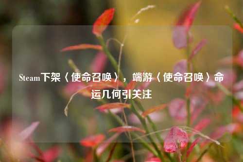 Steam下架〈使命召唤〉，端游〈使命召唤〉命运几何引关注