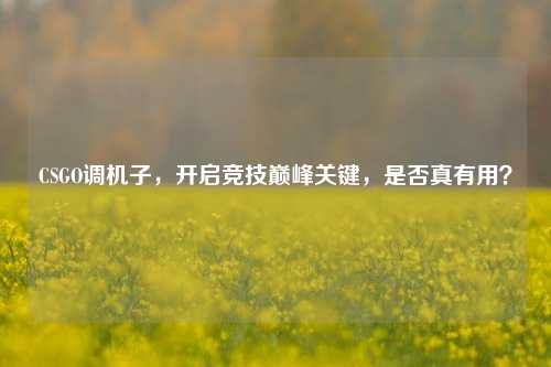 CSGO调机子,开启竞技巅峰关键,是否真有用?