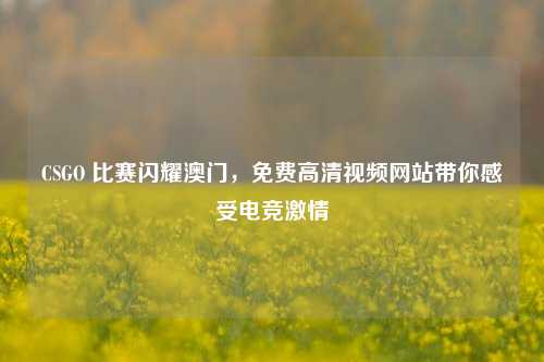 CSGO 比赛闪耀澳门,免费高清视频网站带你感受电竞激情