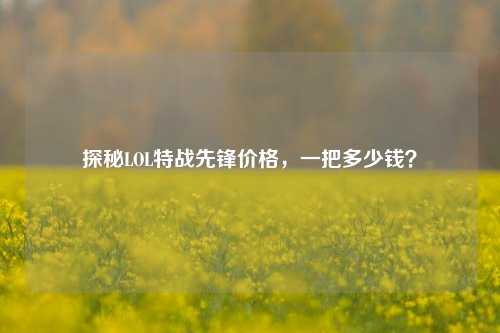 探秘LOL特战先锋价格，一把多少钱？