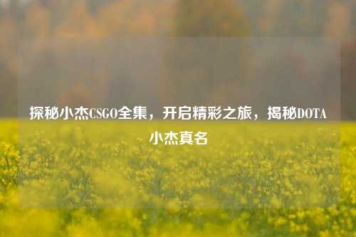 探秘小杰CSGO全集，开启精彩之旅，揭秘DOTA小杰真名