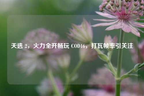 天选 2,火力全开畅玩 COD16,打瓦帧率引关注