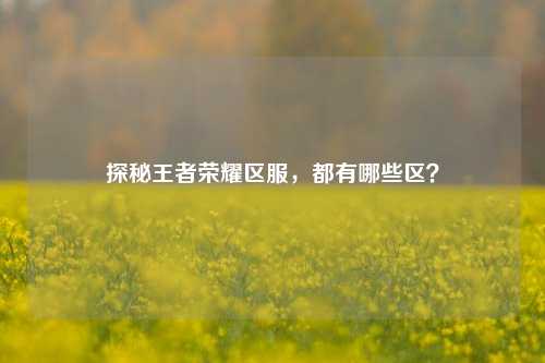 探秘王者荣耀区服,都有哪些区?