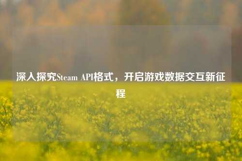 深入探究Steam API格式,开启游戏数据交互新征程