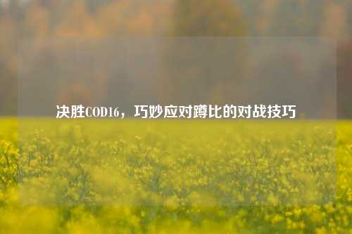 决胜COD16,巧妙应对蹲比的对战技巧