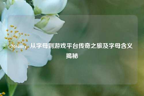 Steam,从字母到游戏平台传奇之旅及字母含义揭秘