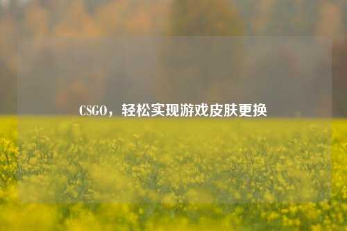 CSGO，轻松实现游戏皮肤更换