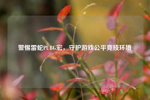 警惕雷蛇PUBG宏,守护游戏公平竞技环境