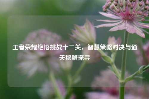 王者荣耀绝悟挑战十二关，智慧策略对决与通关秘籍探寻