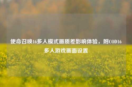 使命召唤16多人模式画质差影响体验,附COD16多人游戏画面设置
