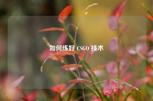 如何练好 CSGO 技术