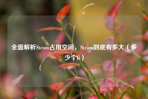 全面解析Steam占用空间，Steam到底有多大（多少个G）