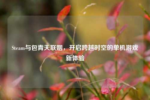 Steam与包青天联姻，开启跨越时空的单机游戏新体验