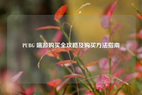 PUBG 端游购买全攻略及购买方法指南