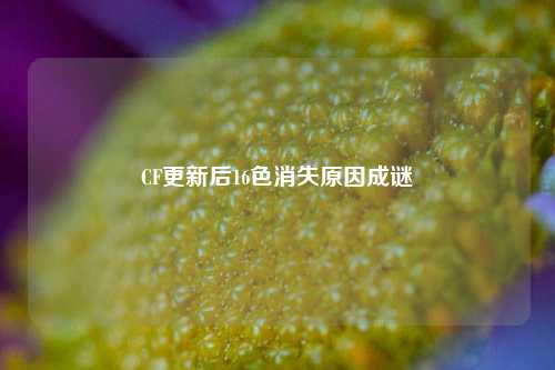 CF更新后16色消失原因成谜