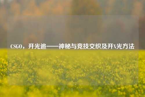 CSGO,开光追——神秘与竞技交织及开X光方法