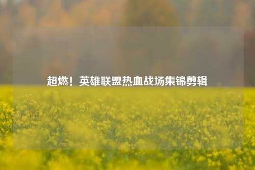 超燃！英雄联盟热血战场集锦剪辑