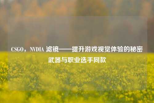 CSGO,NVDIA 滤镜——提升游戏视觉体验的秘密武器与职业选手同款