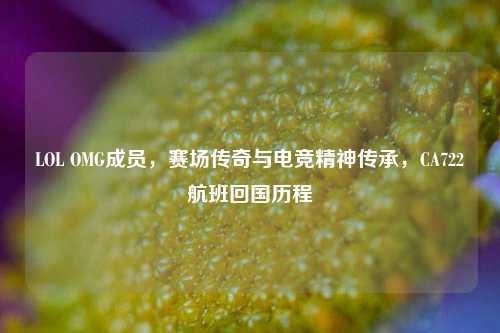 LOL OMG成员,赛场传奇与电竞精神传承,CA722航班回国历程