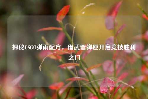 探秘CSGO弹雨配方,借武器弹匣开启竞技胜利之门