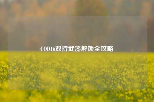 COD16双持武器解锁全攻略