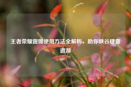 王者荣耀露娜使用方法全解析,助你峡谷肆意遨游