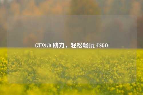 GTX970 助力，轻松畅玩 CSGO