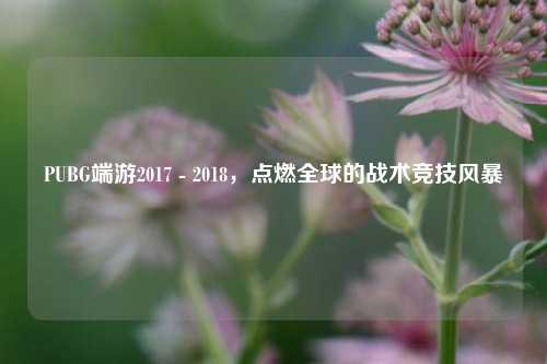 PUBG端游2017 - 2018,点燃全球的战术竞技风暴