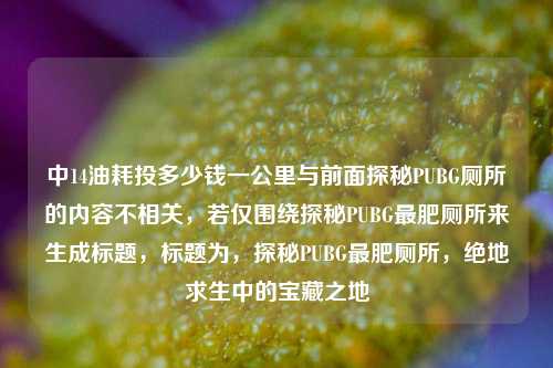 中14油耗投多少钱一公里与前面探秘PUBG厕所的内容不相关,若仅围绕探秘PUBG最肥厕所来生成标题,标题为,探秘PUBG最肥厕所,绝地求生中的宝藏之地
