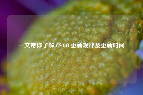一文带你了解 CS:GO 更新规律及更新时间