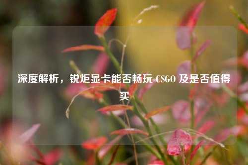 深度解析，锐炬显卡能否畅玩 CSGO 及是否值得买