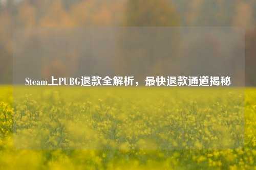 Steam上PUBG退款全解析,最快退款通道揭秘