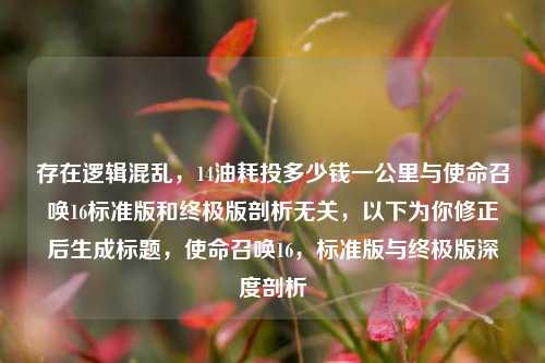 存在逻辑混乱，14油耗投多少钱一公里与使命召唤16标准版和终极版剖析无关，以下为你修正后生成标题，使命召唤16，标准版与终极版深度剖析