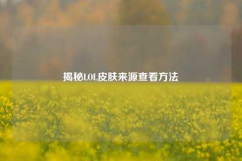 揭秘LOL皮肤来源查看方法
