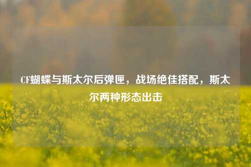CF蝴蝶与斯太尔后弹匣,战场绝佳搭配,斯太尔两种形态出击