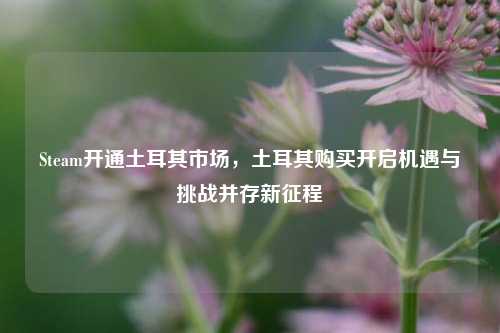 Steam开通土耳其市场,土耳其购买开启机遇与挑战并存新征程