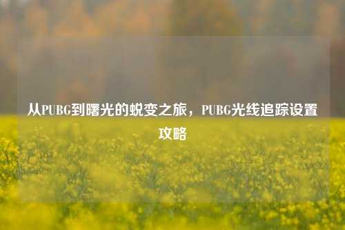 从PUBG到曙光的蜕变之旅,PUBG光线追踪设置攻略