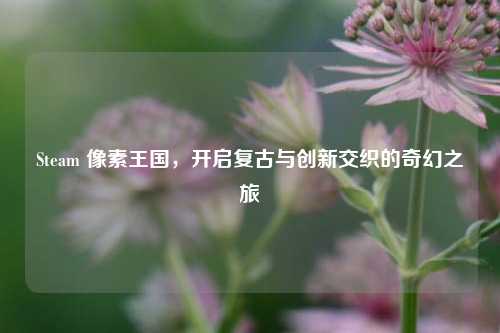 Steam 像素王国，开启复古与创新交织的奇幻之旅