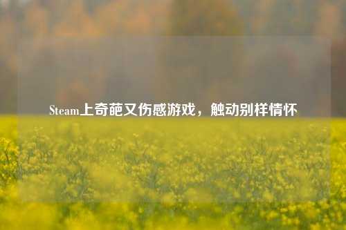 Steam上奇葩又伤感游戏,触动别样情怀