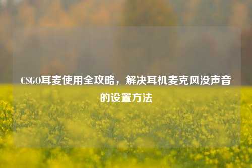 CSGO耳麦使用全攻略，解决耳机麦克风没声音的设置方法