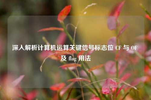 深入解析计算机运算关键信号标志位 CF 与 OF 及 flag 用法