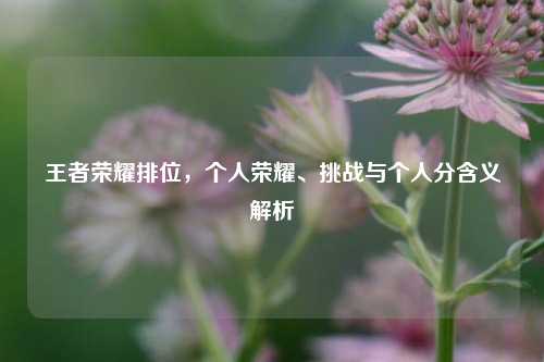 王者荣耀排位,个人荣耀、挑战与个人分含义解析