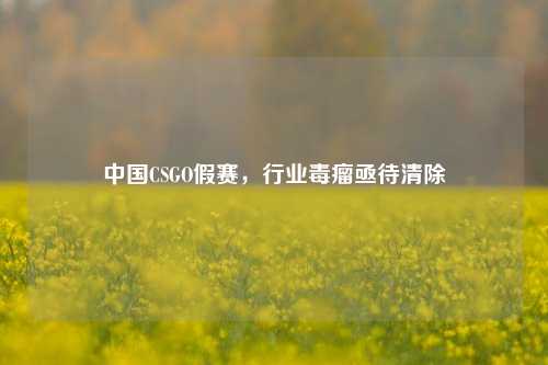 中国CSGO假赛,行业毒瘤亟待清除