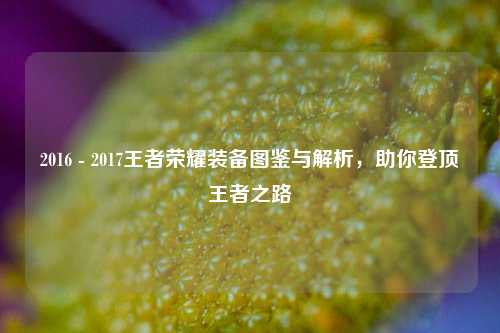 2016 - 2017王者荣耀装备图鉴与解析,助你登顶王者之路